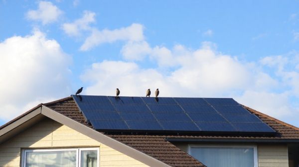 Top stratégies pour maximiser l'autoconsommation avec panneaux solaires