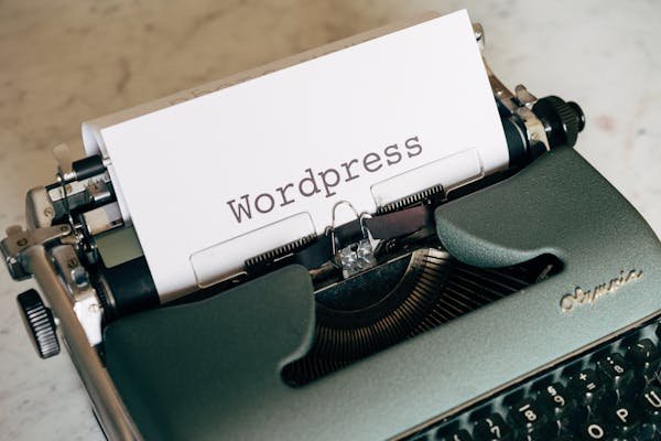 Freelance wordpress : libérez votre potentiel créatif en ligne