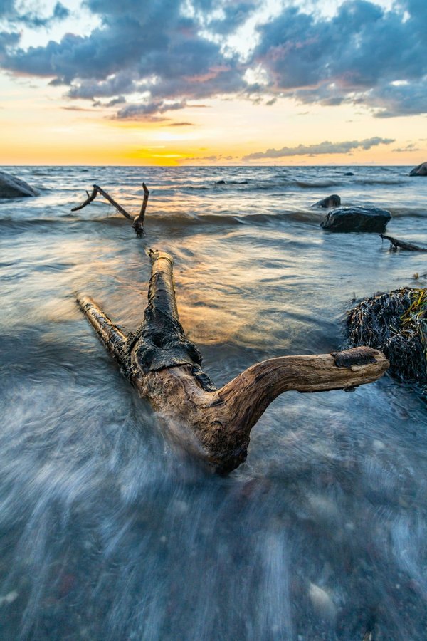 Le guide ultime pour choisir votre poêle à bois brico dépot