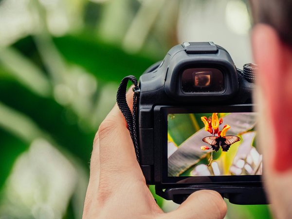 Comment mettre en place une compétition de photographie nature avec exposition des meilleures œuvres ?